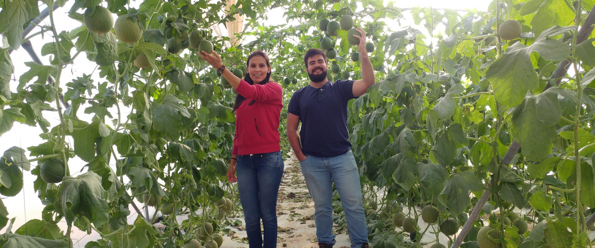 Participants and Melons