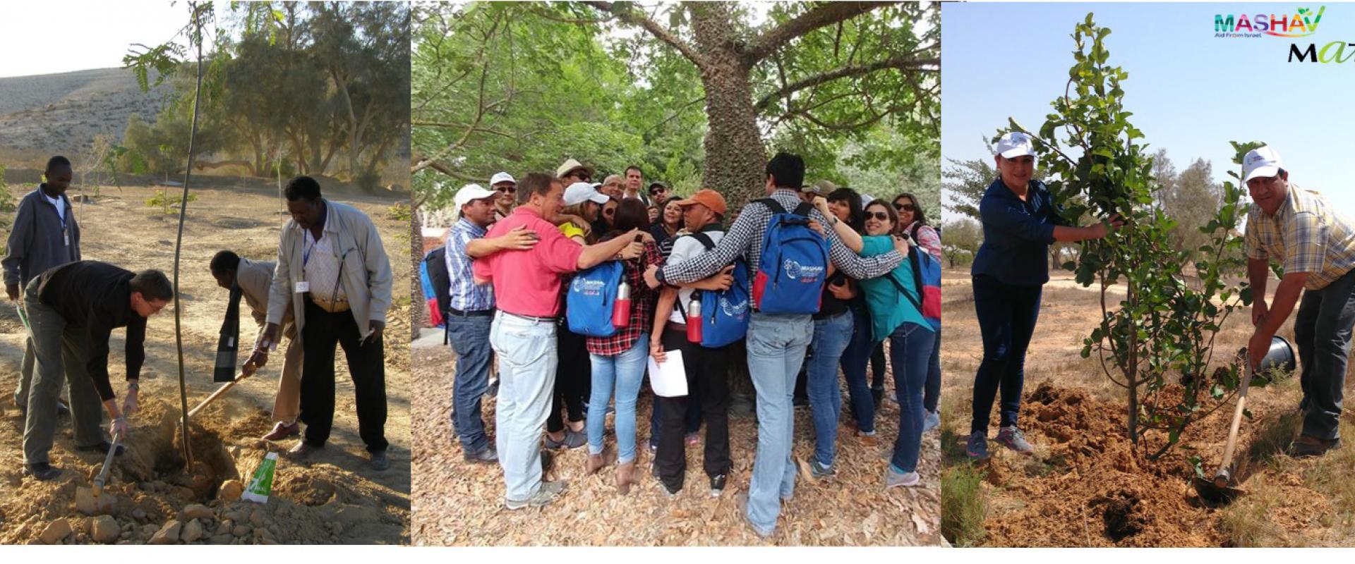 Participants in Tree Planting Activities
