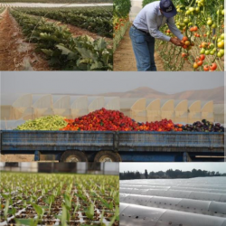 CAIEP COVER PAGE PICTURE | MATC