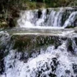 Управление водными ресурсами