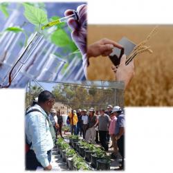 Innovations in Agricultural  Capacity Building
