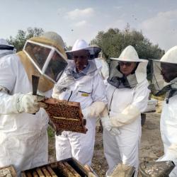 Schneorson Apiary and visitors center in Kfar Habad