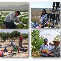 Adopción e implementación  de tecnologías para el impulso de la productividad agrícola 