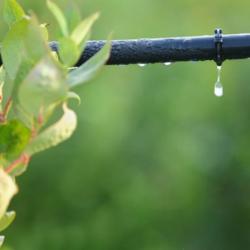Инновационные технологии использования воды в сельском хозяйстве