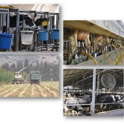 2023 Dairy Production in a Low-carbon Future