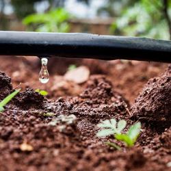 2023 Technologies avancées d'irrigation pour une agriculture climato-intelligente
